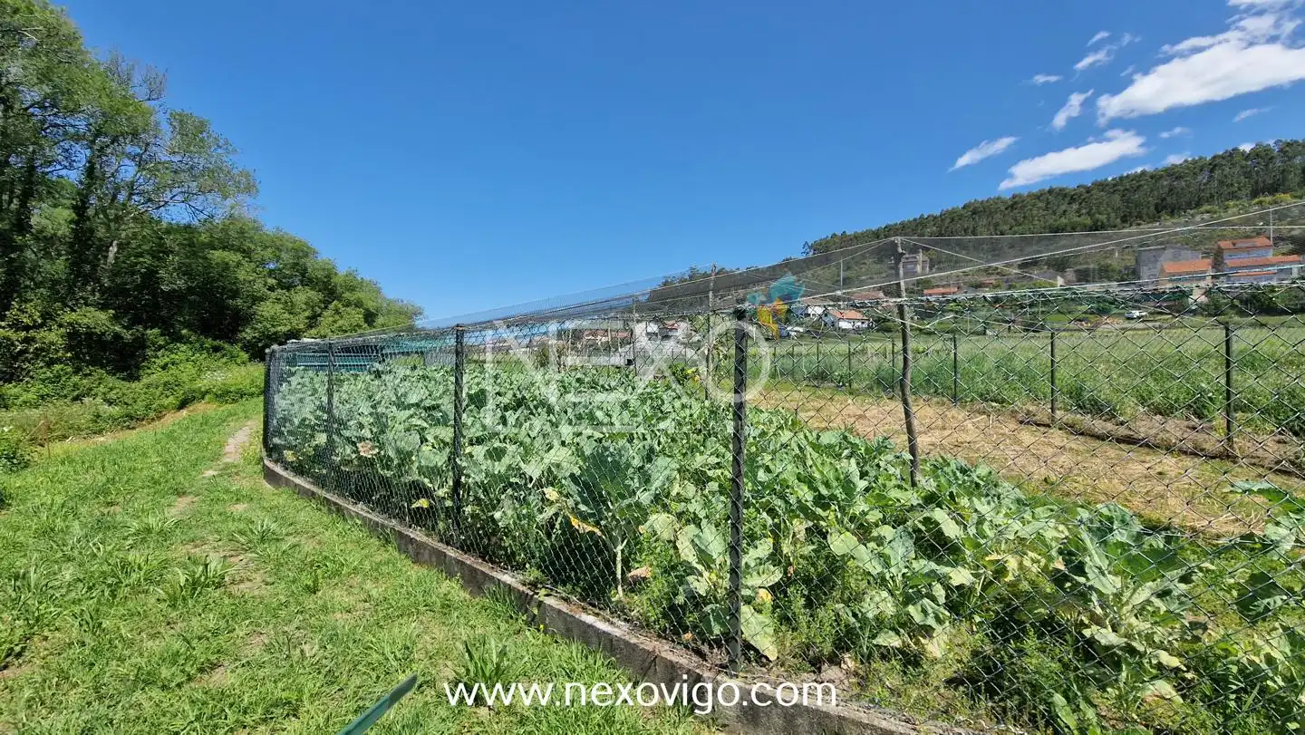 Terreni e lotti in vendita a Rúa Seixo Branco, imagen 2