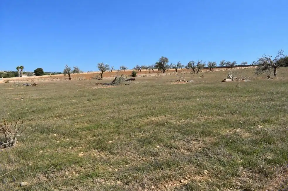 Terreny residencial en venda a Ariany, imagen 11