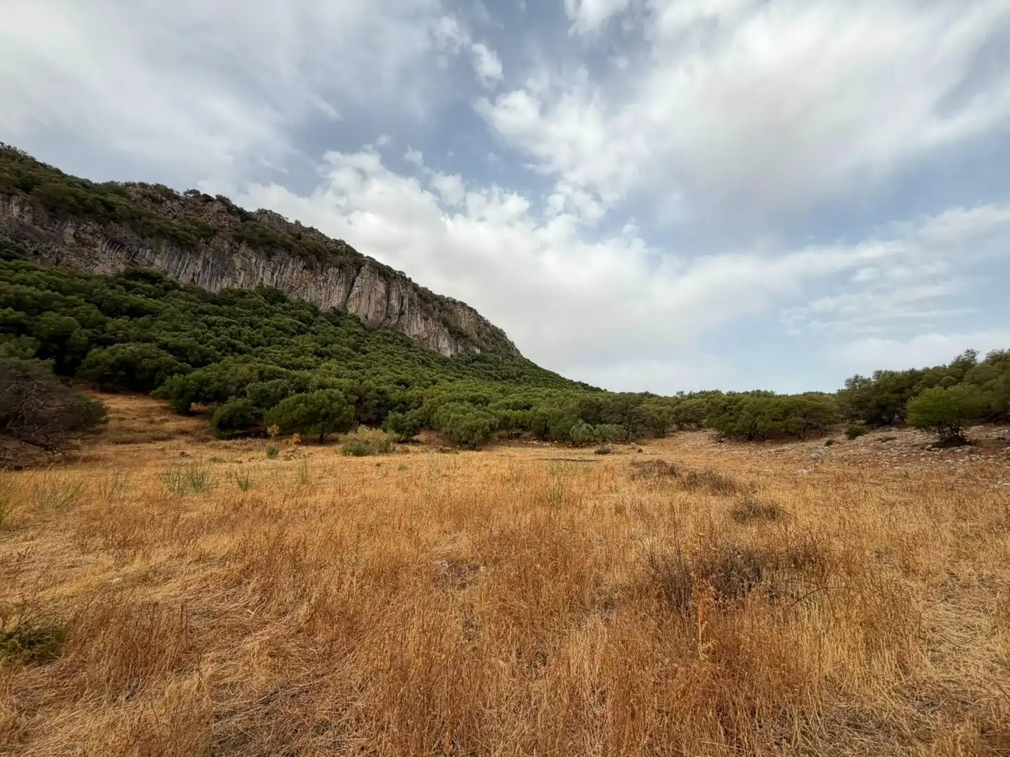 Rural land for sale in Morón de la Frontera, imagen 14