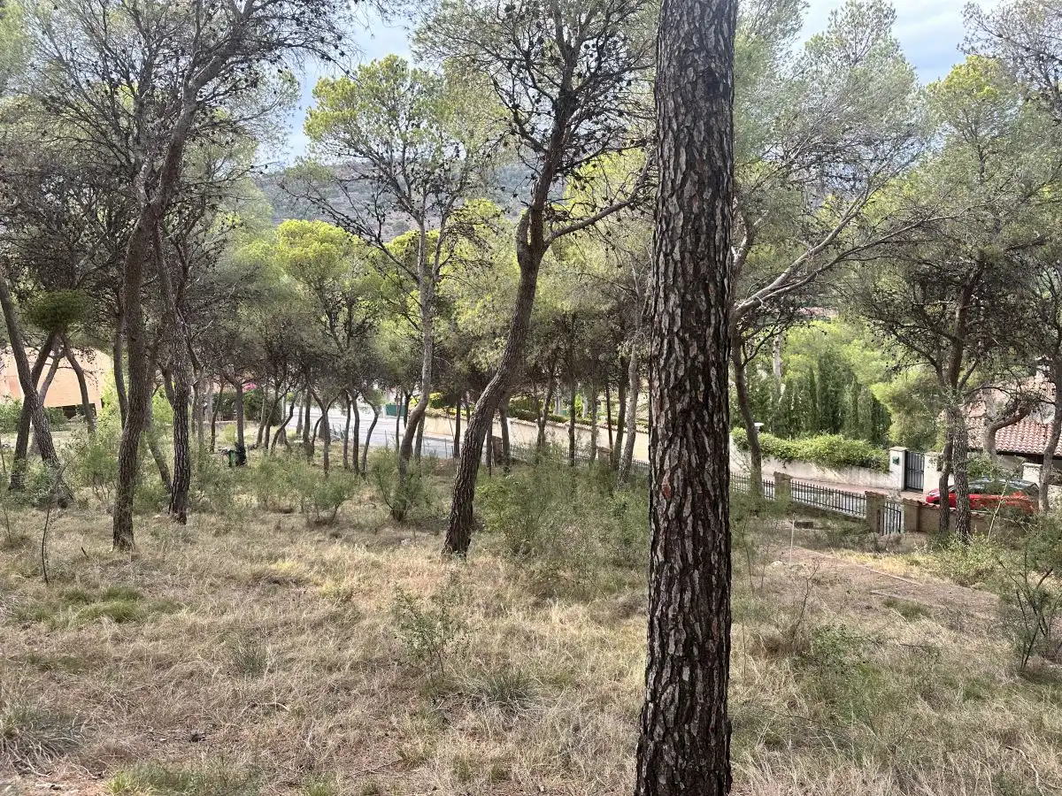 Wohnbaugrundstück zum Verkauf in Torres Torres, imagen 45
