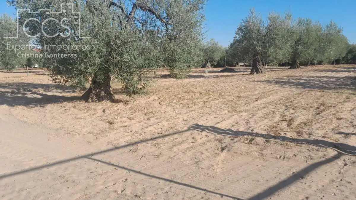 Terreni e lotti in vendita a Almonte ciudad, imagen 13