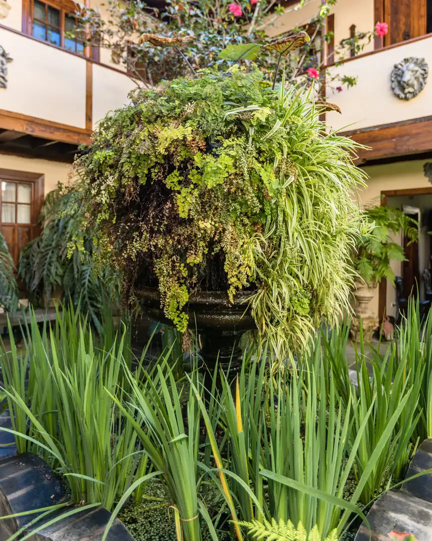 Jardín de Casa o chalet en venta en Icod de los Vinos con Calefacción, Jardín privado y Parquet