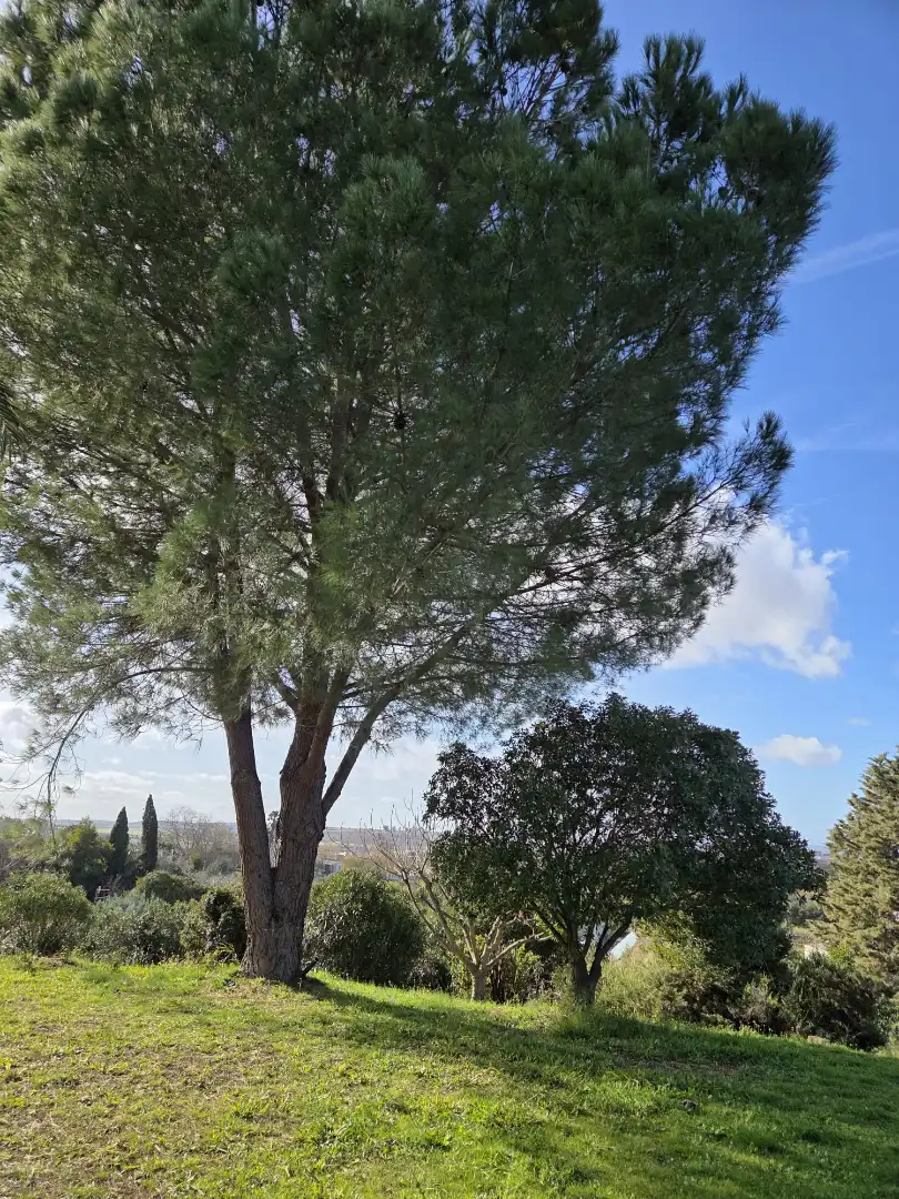 Houses for sale in Badajoz  with Private garden, Terrace and Storage room