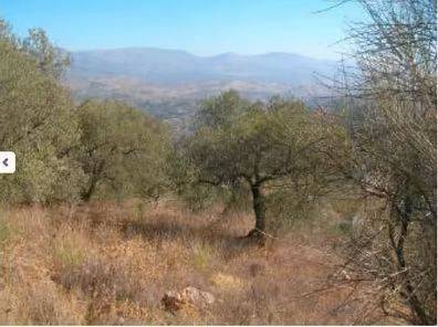 Terreno en Venta en Comares