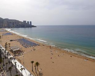 Pis de lloguer a Alcoi, Playa Levante, Benidorm