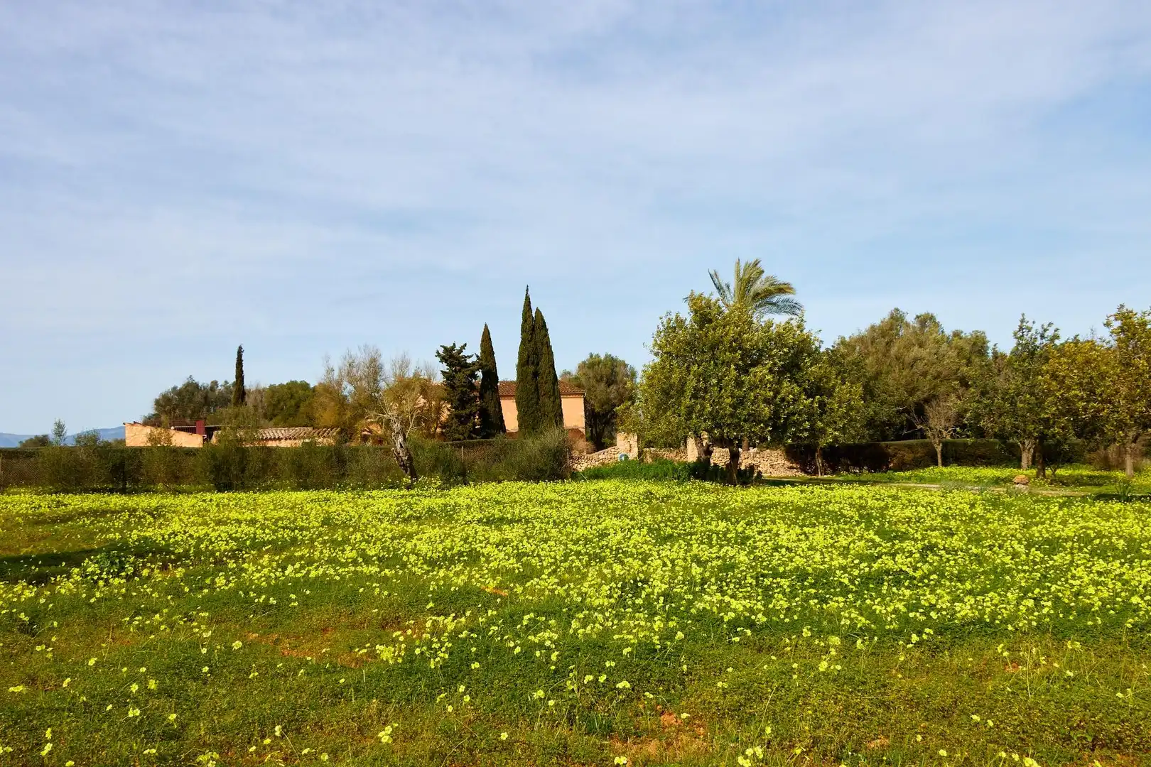 Casa rustica in vendita a Algaida, imagen 54