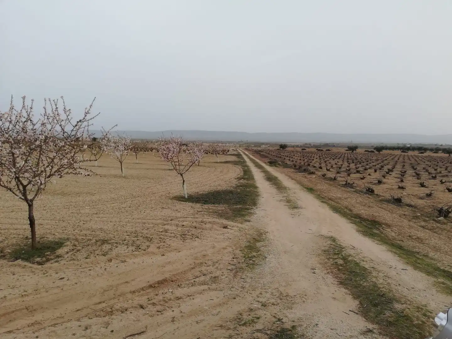 Terreni e lotti in vendita a Villaminaya, imagen 4