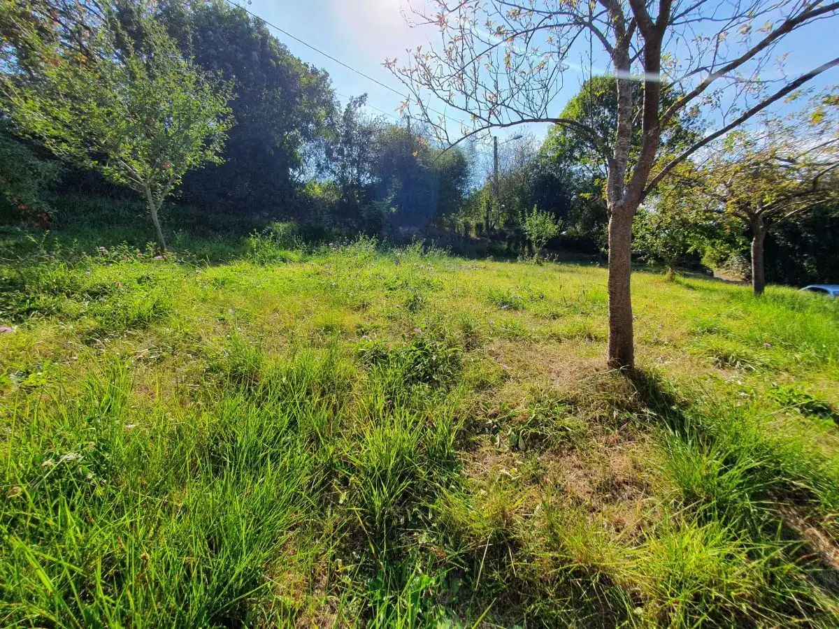 Casa con jardín en venta en Grado, imagen 4