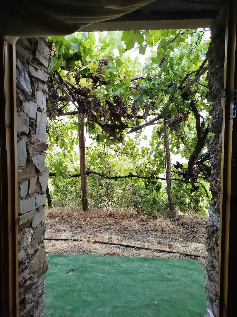 Rural land for sale in Alpujarra de la Sierra, imagen 12