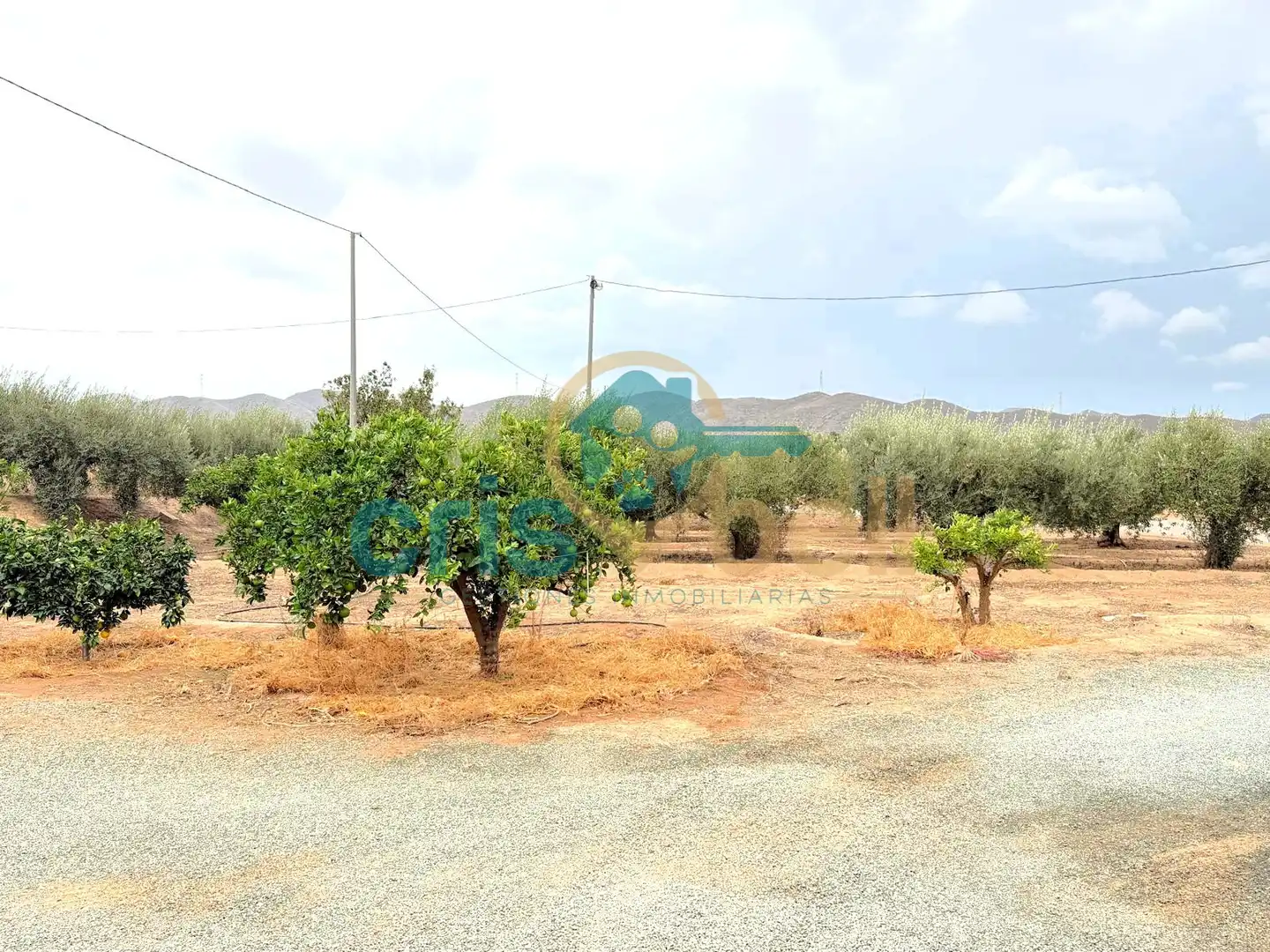 Casa con giardino in vendita a Pedanías Sur, imagen 42