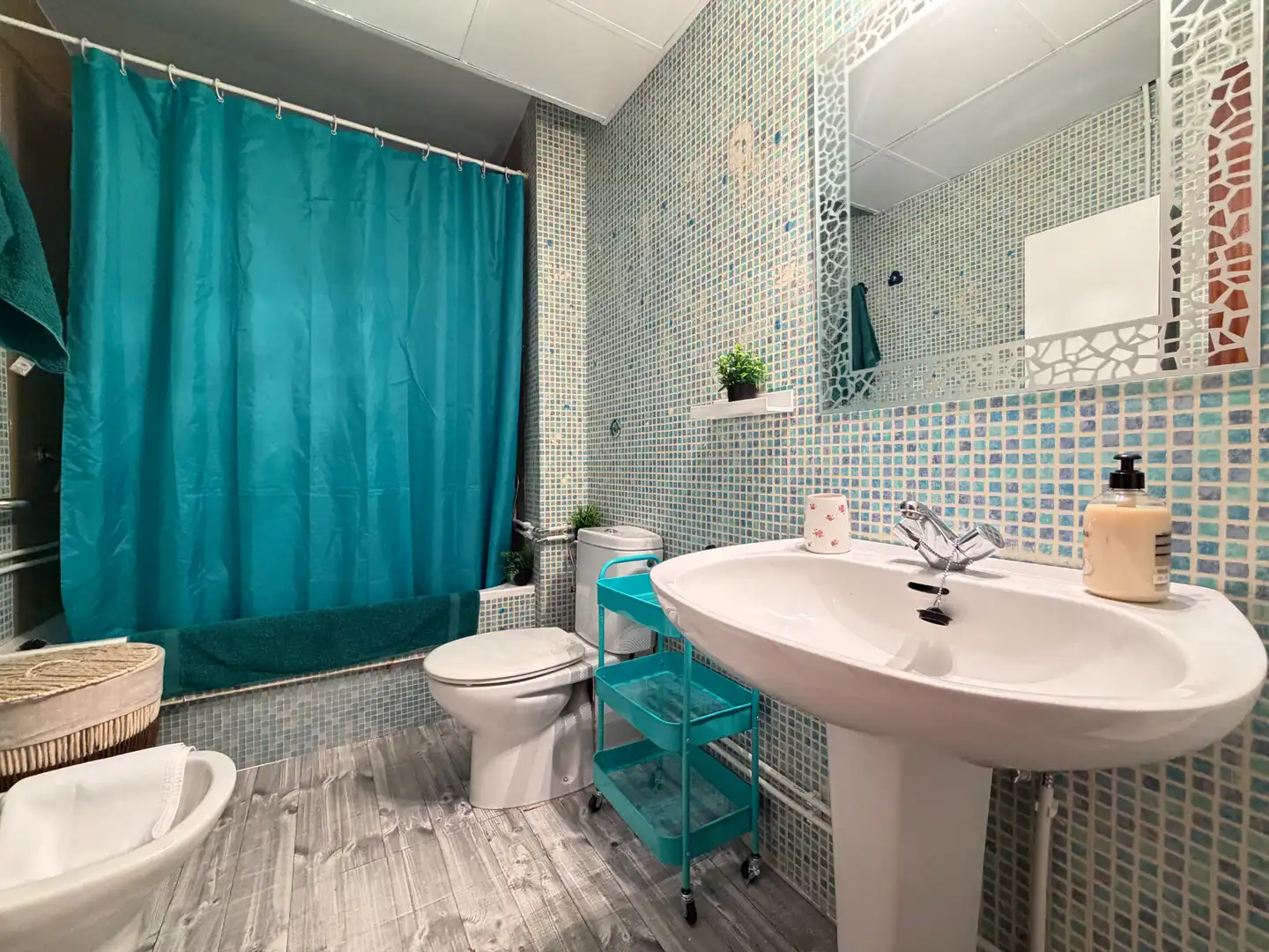 Bathroom of Flat for rent in Plasencia  with Furnished, Oven and Washing machine