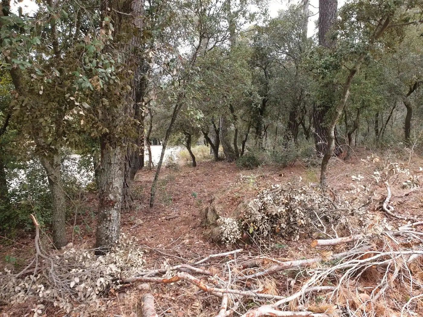 Terrain résidentiel à vendre à Matadepera, imagen 16