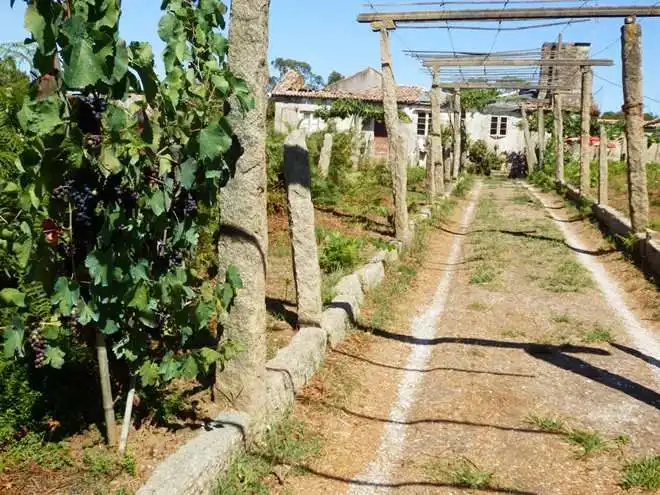 Casa rústica en venda a BREA- CESPON, imagen 7