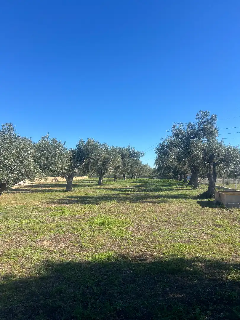 Finca rústica en venta en Botarell con Jardín privado, Trastero y Amueblado