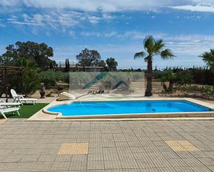 Piscina de Casa o xalet de lloguer en Elche / Elx amb Piscina i Moblat
