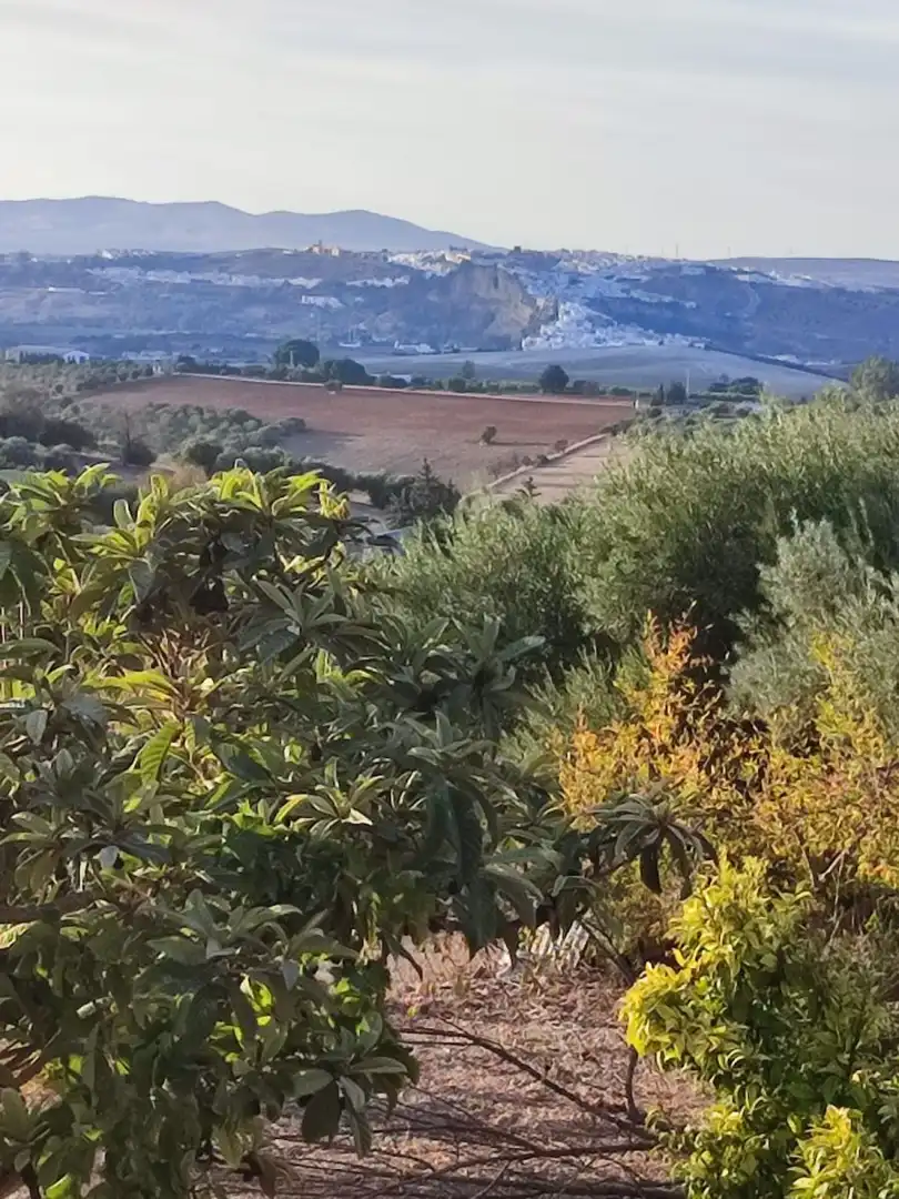 Casa rústica en venda a Arcos de la Frontera, imagen 3