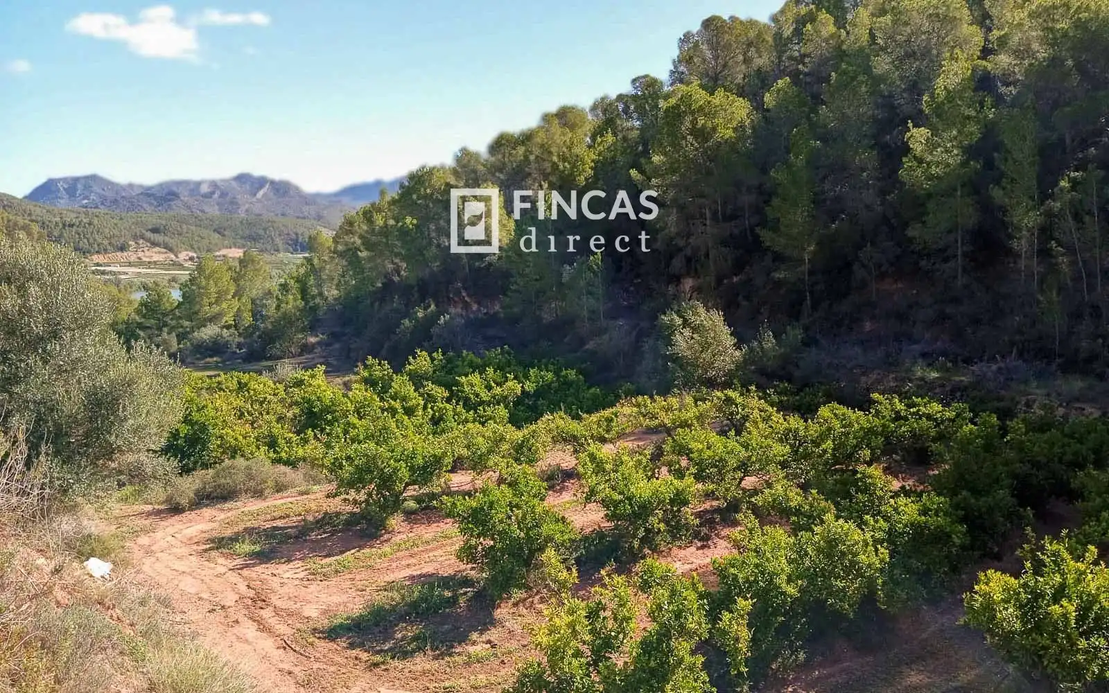 Finca rústica en venta en Benifallet con Trastero y Amueblado