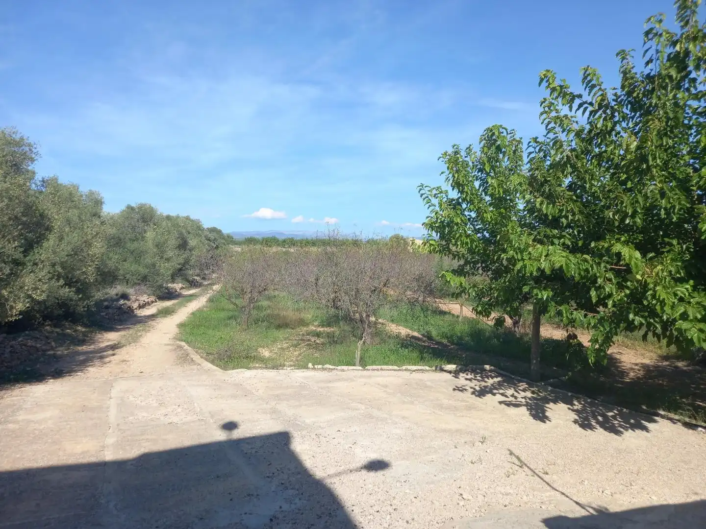 Terreno rústico en venta en Móra d'Ebre, imagen 17