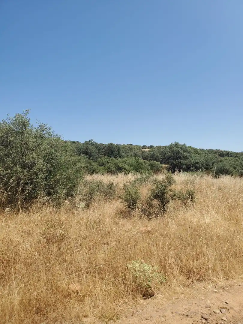 Finca rústica en venta en Área Rural-Valverde-Las Casas