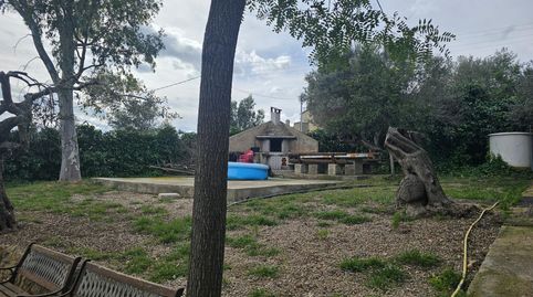 Foto 5 de Finca rústica en venta en Valletes - Xiribecs, Amposta
