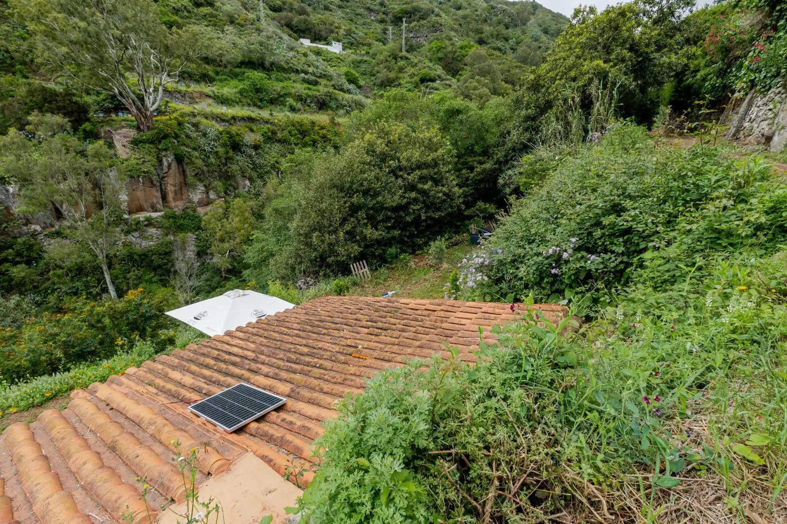Garden of Land for sale in Teror