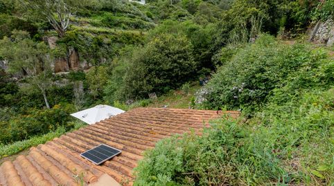 Foto 4 de Terreno en venta en Calle de las Rosadas, Teror pueblo, Teror