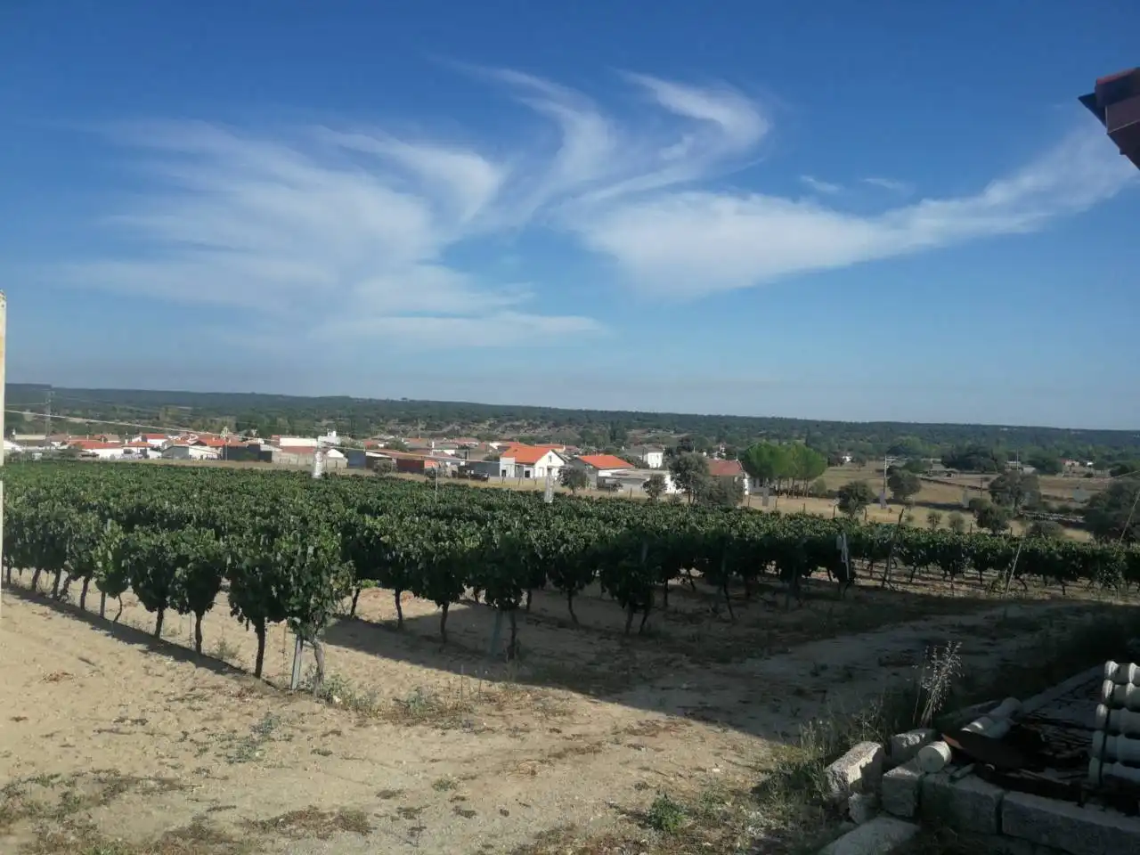 Finca rústica en venta en Puebla de Azaba