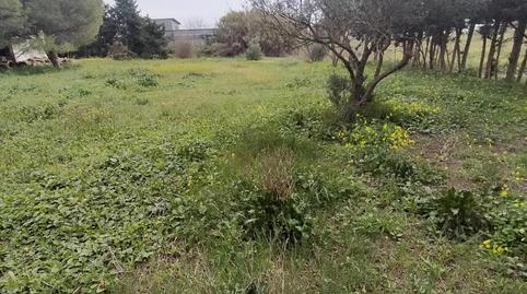 Foto 4 de Casa o chalet en venta en Pelagatos - Pago del Humo, Cádiz