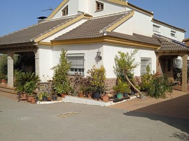 Chalet con jardín en venta en Calle Sócrates 22