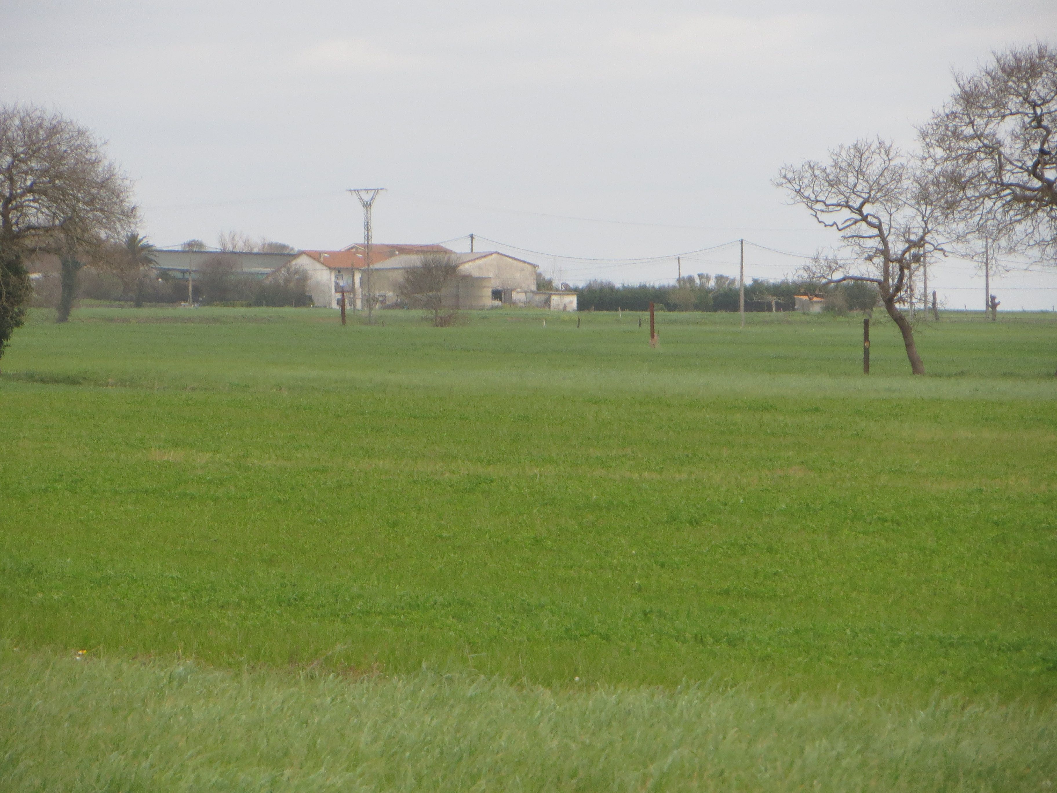 Land for sale in Ribamontán al Mar