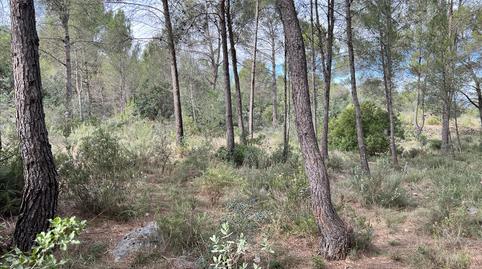 Foto 2 de Residencial en venta en Polígono 23. Parcela, Bicorp, Valencia