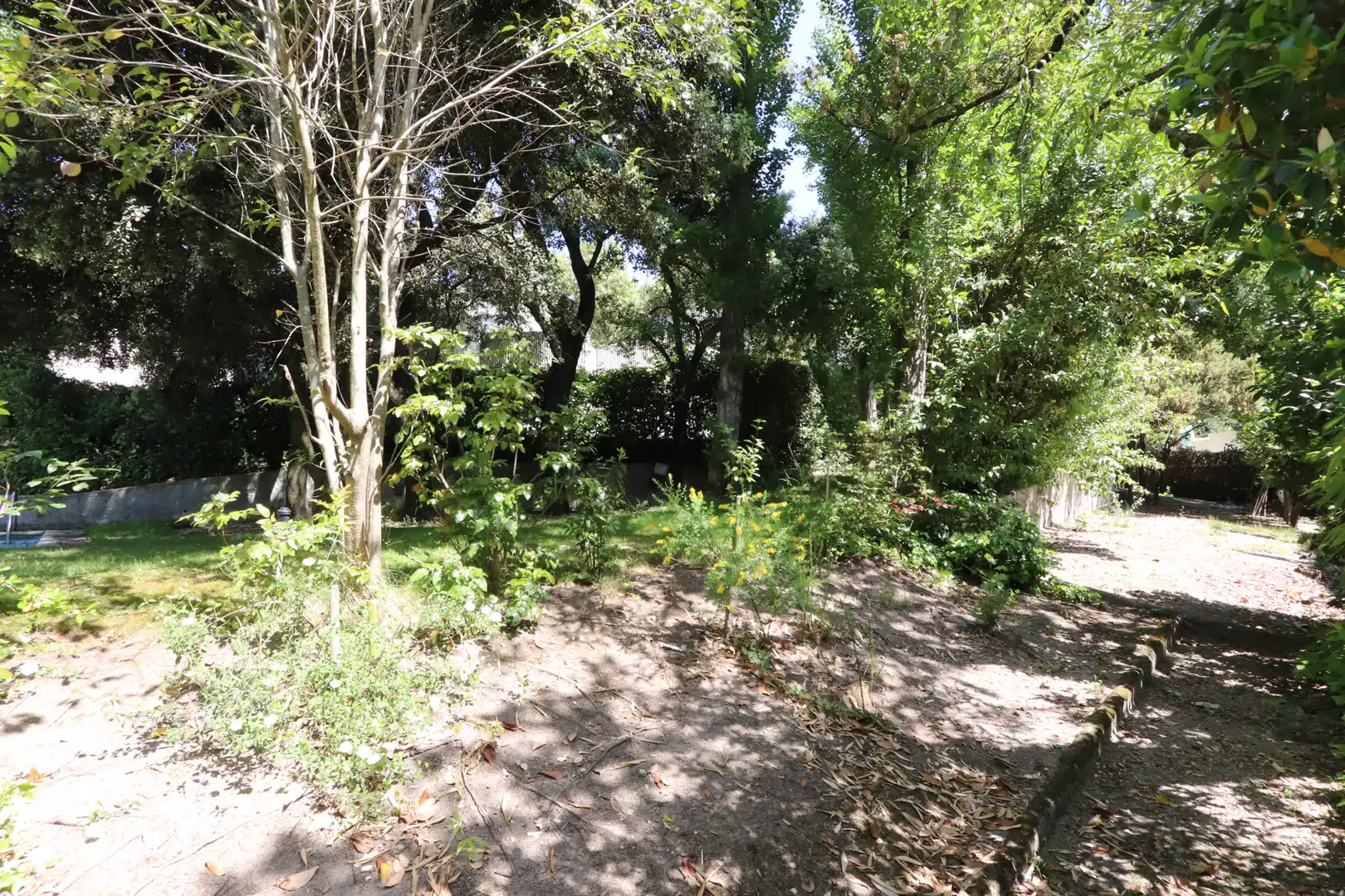 Villa avec terrasse à vendre à Urbanización La Moraleja, imagen 19