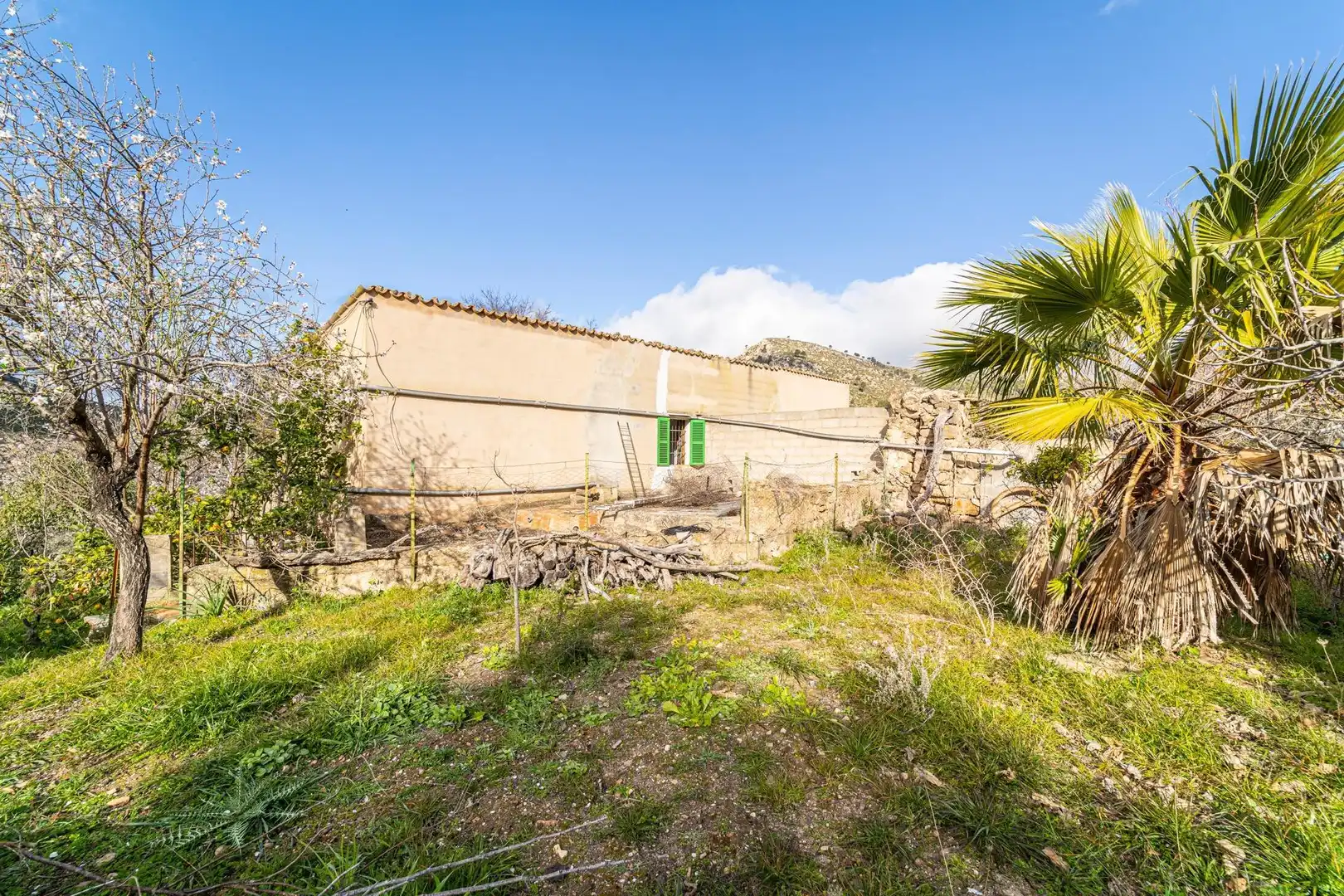 Casa con jardín en venta en Andratx pueblo, imagen 15