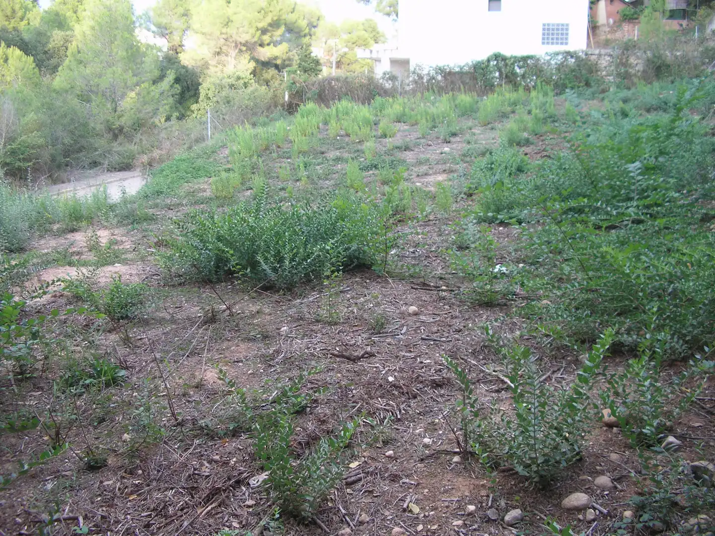 Terreno residencial en venta en Carrer Bonavista 22, imagen 10