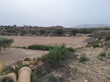 Terreny rústic en venda a Agost