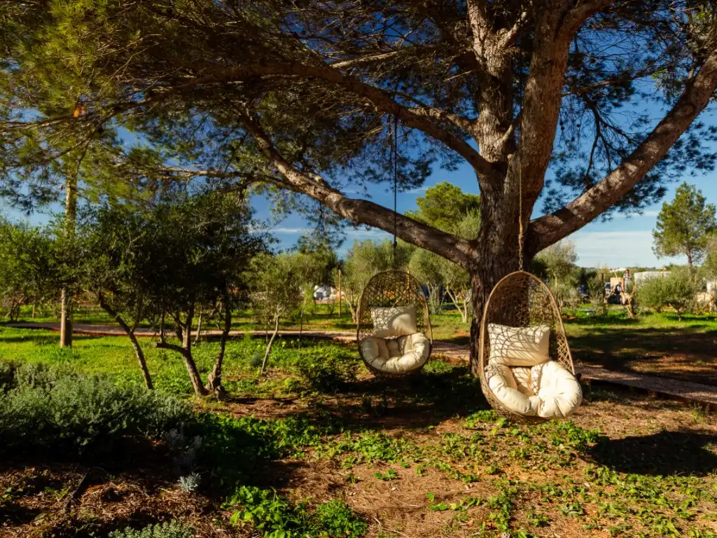 Maison à vendre à Diseminados P 22 P Den Vall, imagen 50