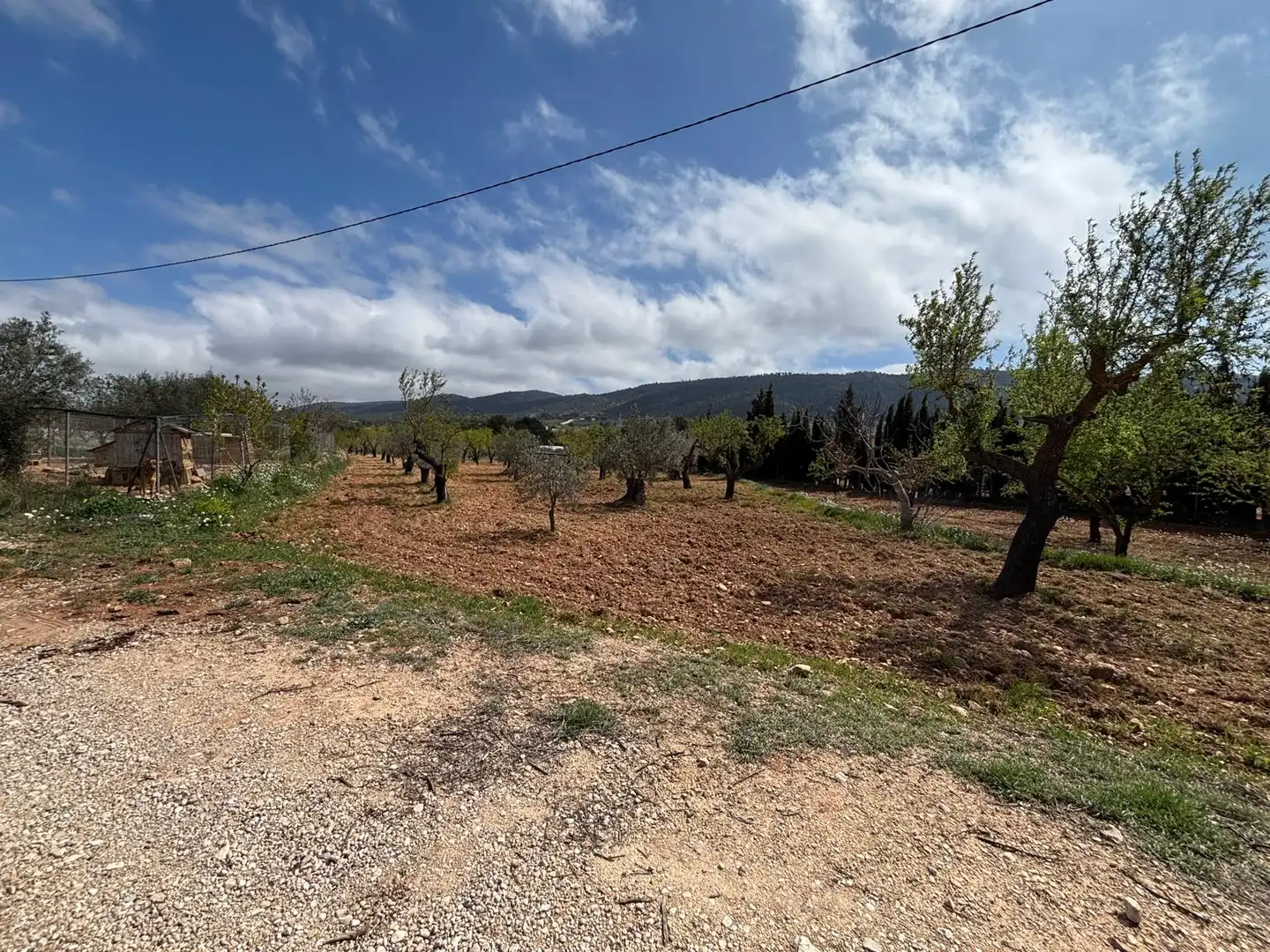 Terreno rústico en venta en CV-806, imagen 4