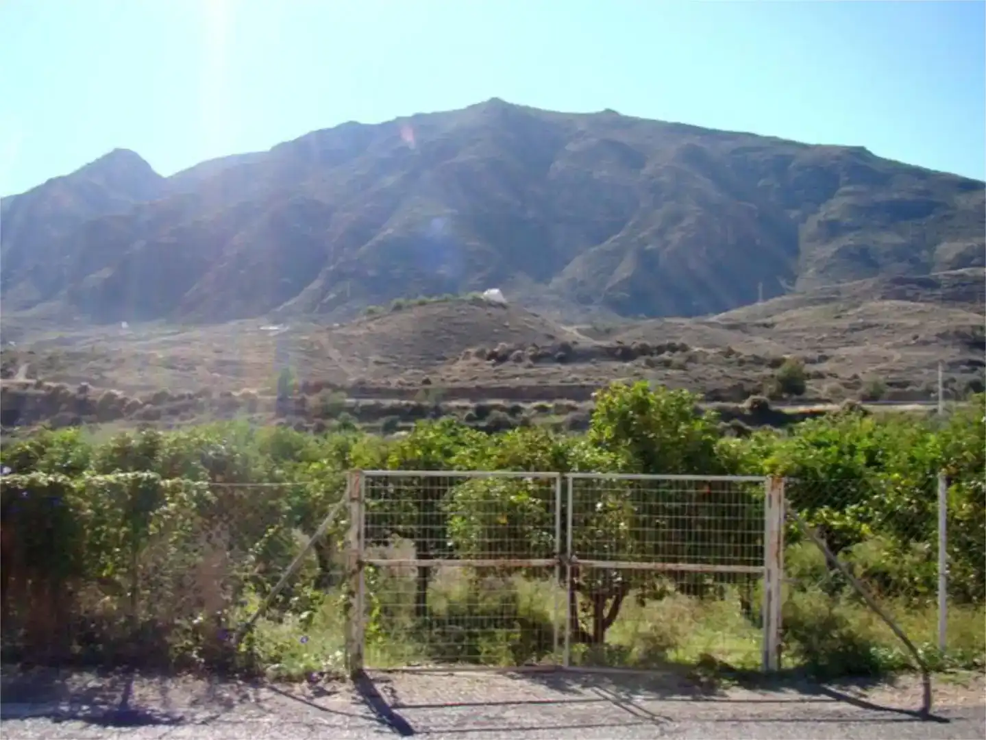Vista exterior de Casa o xalet en venda en Íllar amb Jardí privat, Traster i Piscina