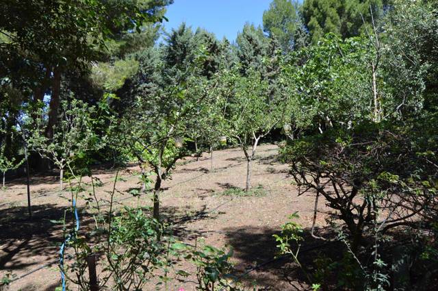 Terreno residencial en Venta en De Valdecarros, 123 en Tarancón