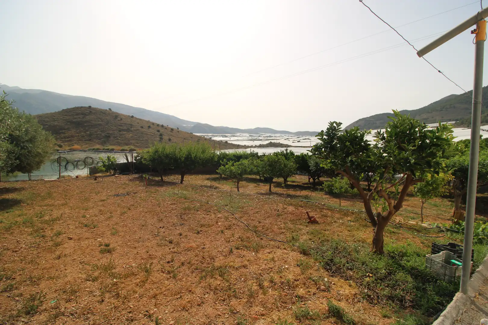 Finca rústica en venda en Dalías