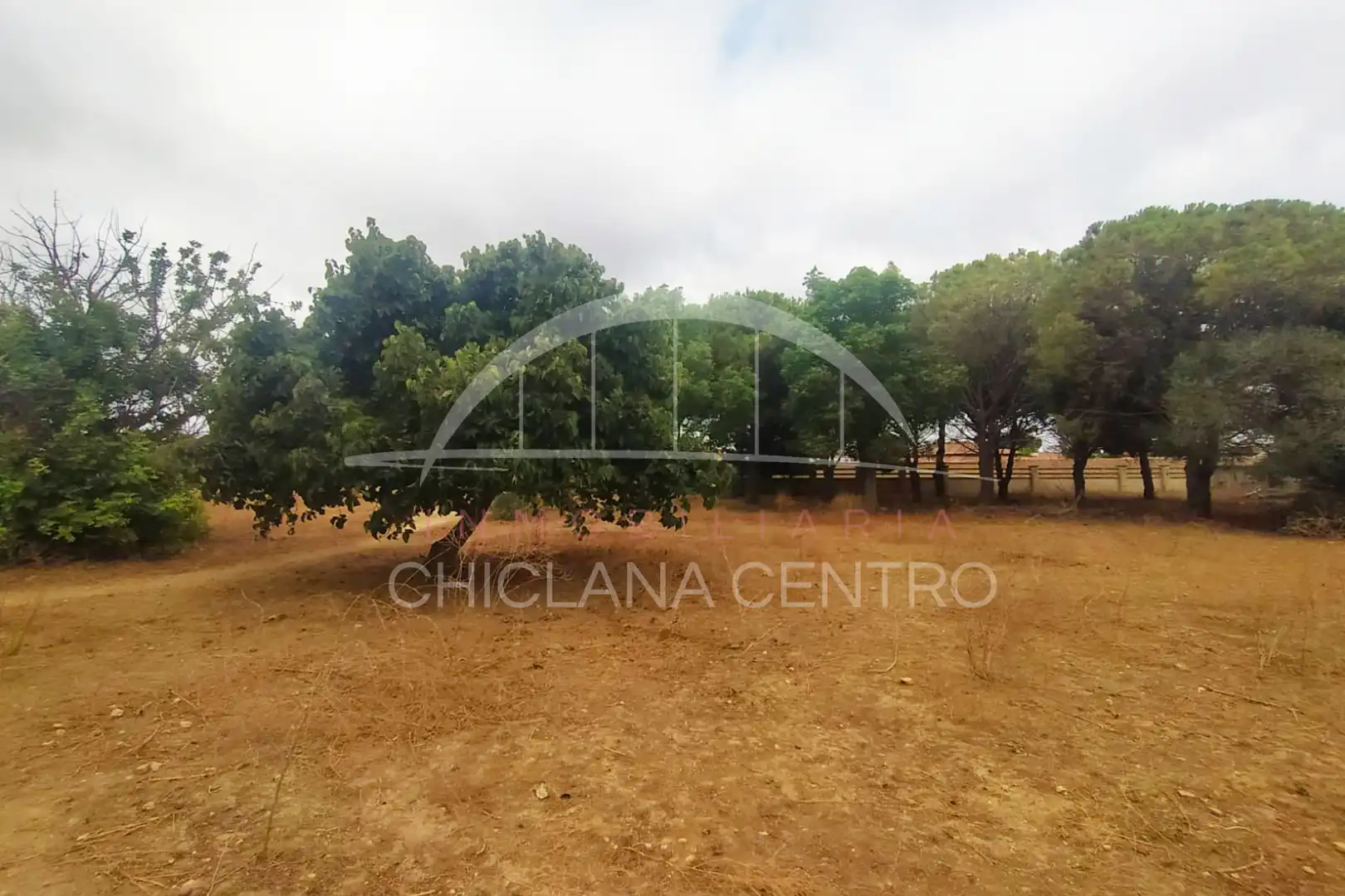 Terrenys i solars en venda a Los Franceses – La Vega, imagen 14