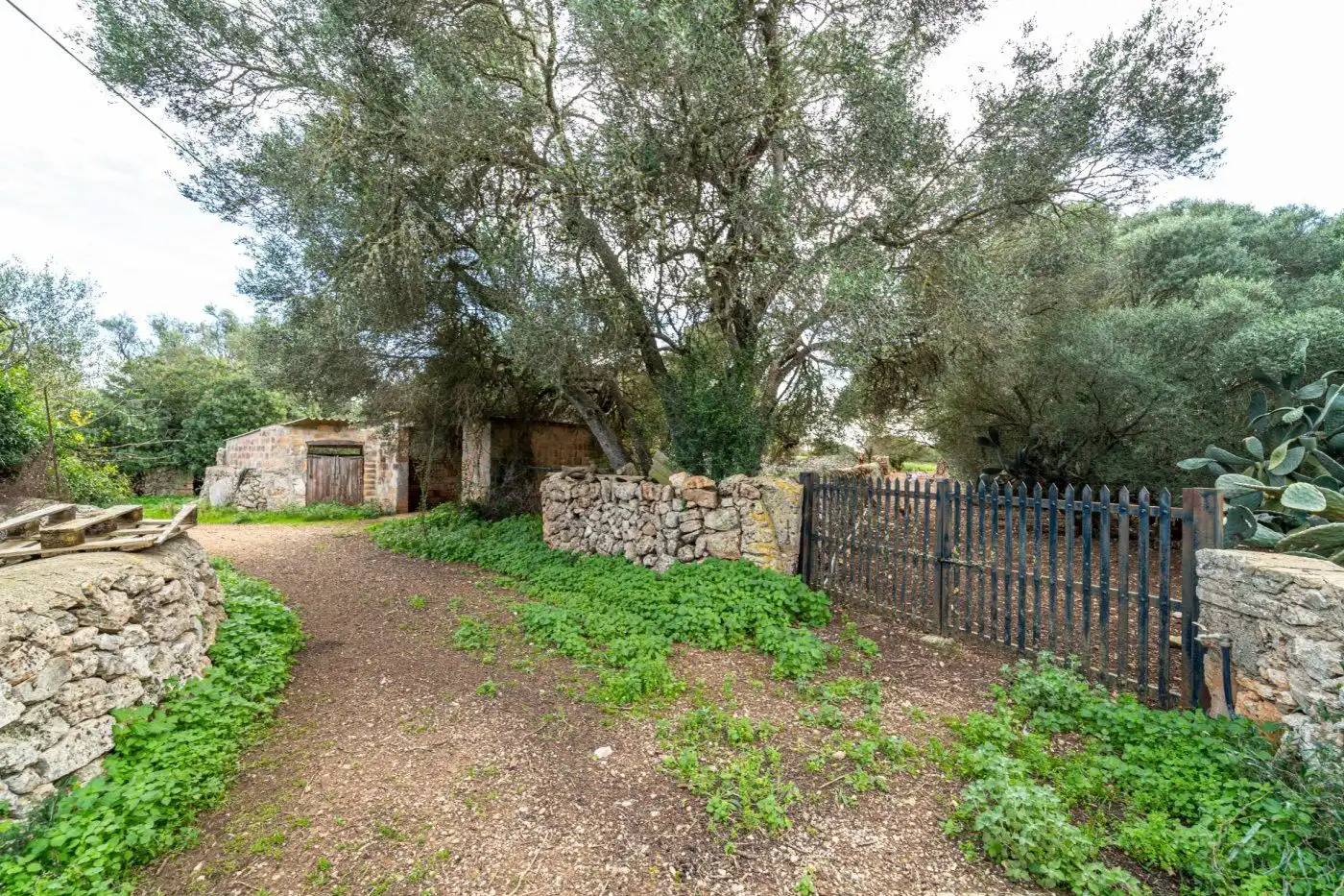 Residential land for sale in S'Horta - Cas Concos des Cavaller - Es Carritxó, imagen 10
