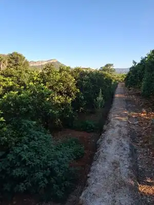 Terrain rustique à vendre à Terrenos MARXUQUERA  ALTA, imagen 11