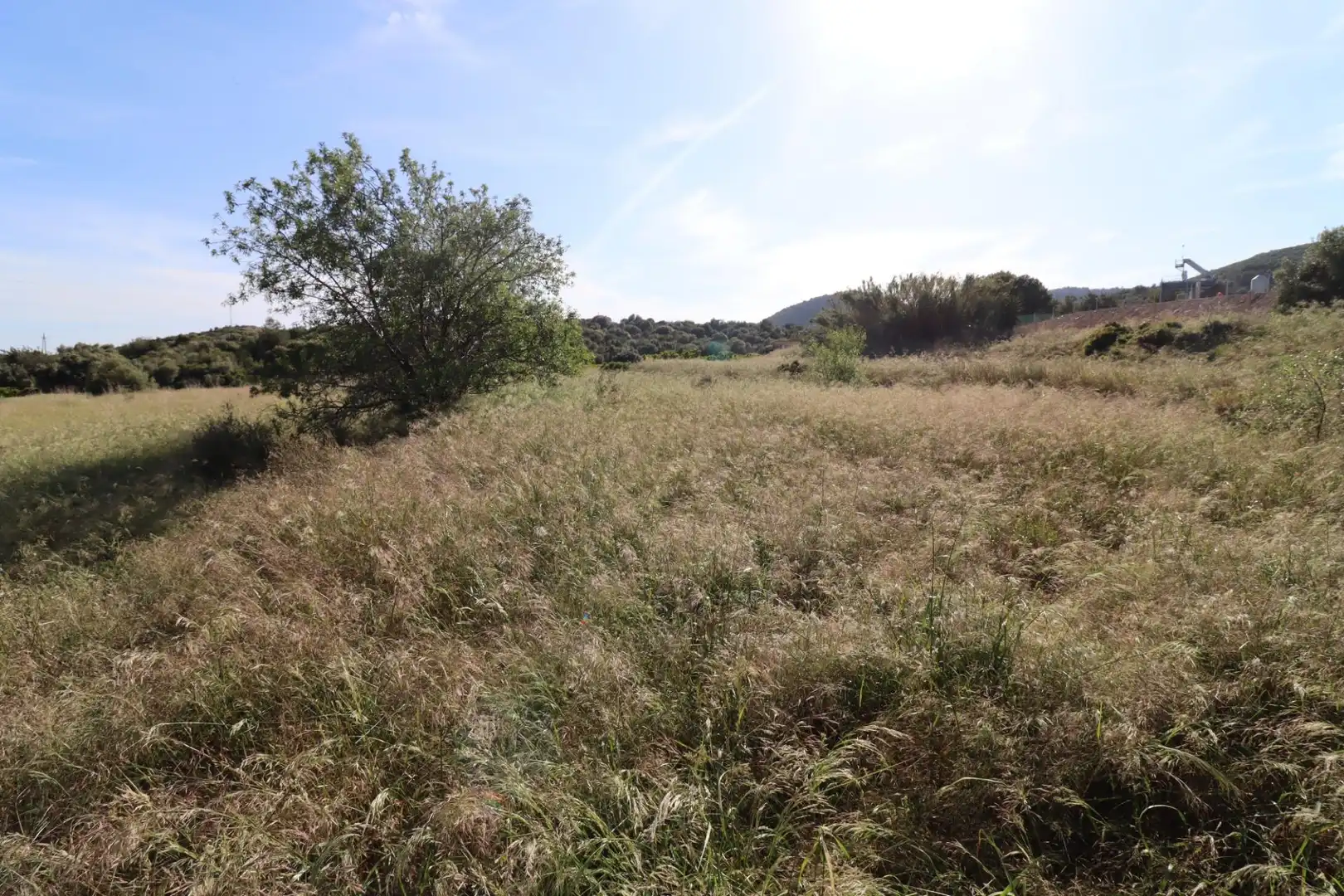 Terreno rústico en venta en Alcanar, imagen 14