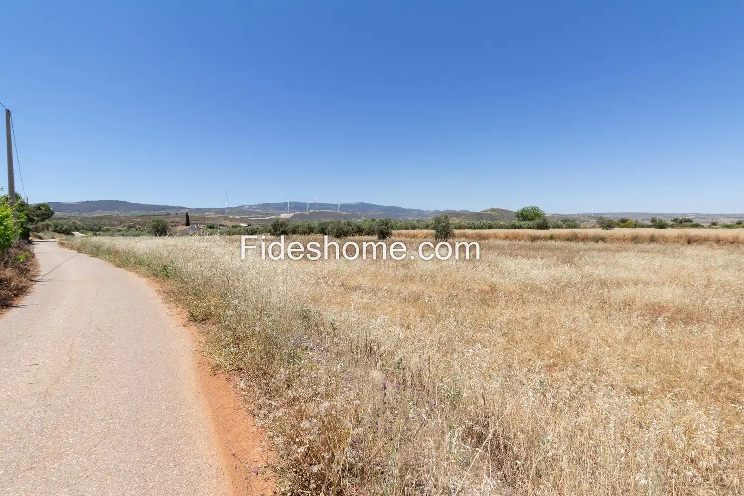 Rural land for sale in XCV6+H86 Cozvijar 0, imagen 3