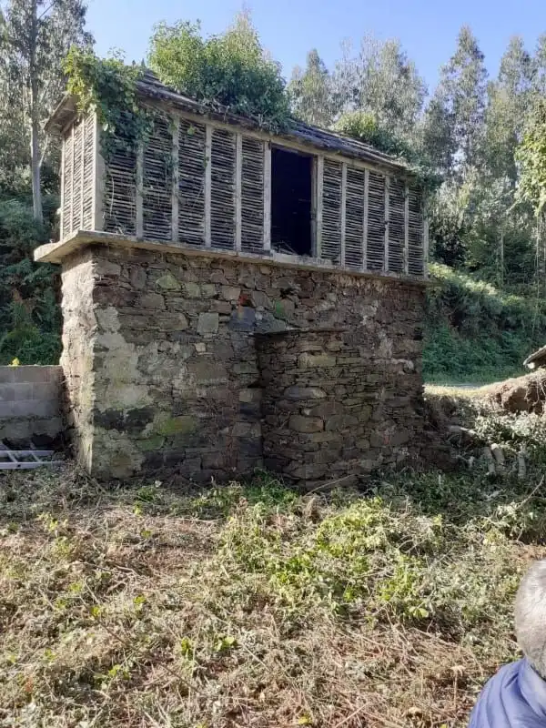 Vista exterior de Finca rústica en venta en Cedeira con Jardín privado
