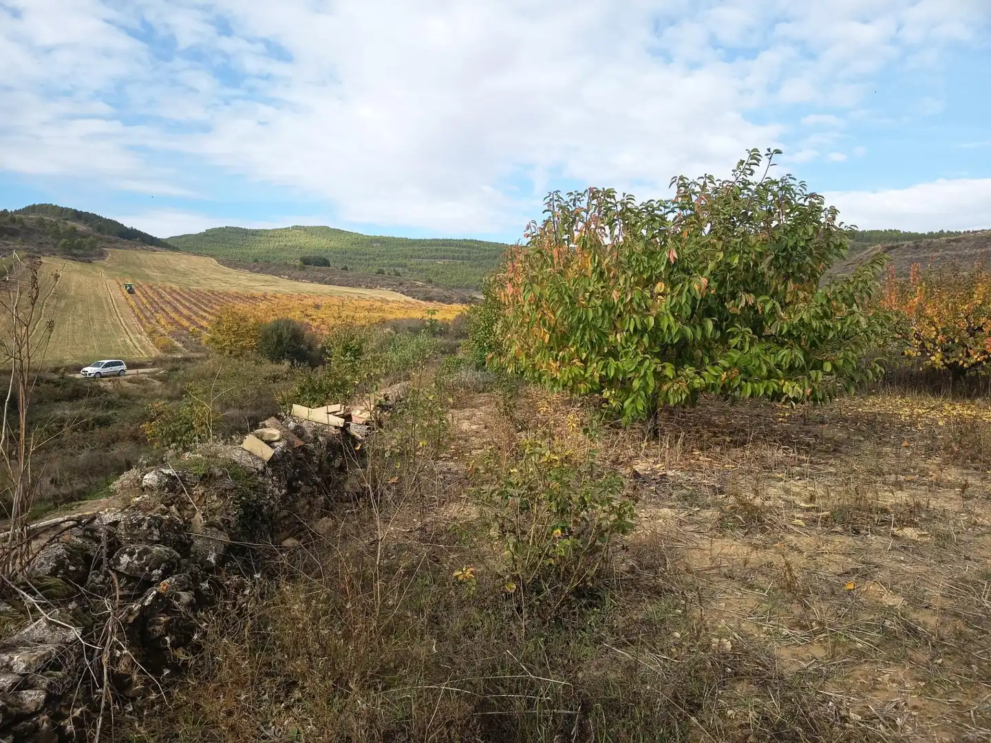 Casa o chalet en venta en Sada (Navarra)