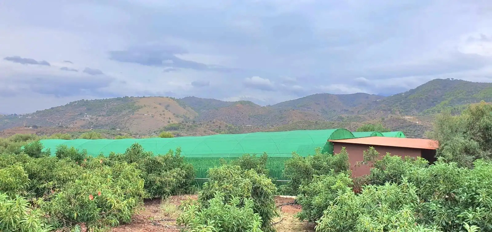 Casa o xalet en venda en Guaro amb Aire condicionat, Jardí privat i Moblat