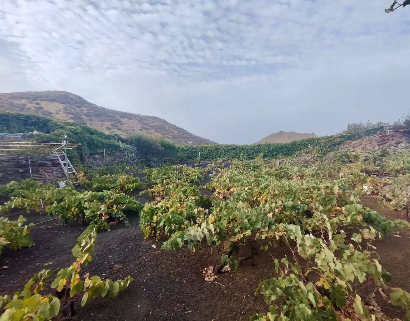 Terreny en venda en Santiago del Teide