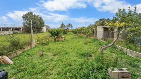 Foto 5 de Finca rústica en venta en Felanitx Poble, Felanitx